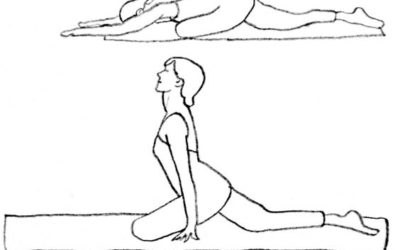 7月〜ヨガ教室スタート