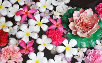 年末年始のスケジュール