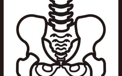 骨盤調整マッサージ