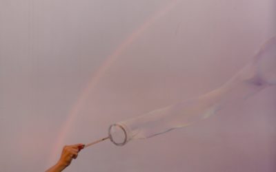 たまぷらねっと　わ